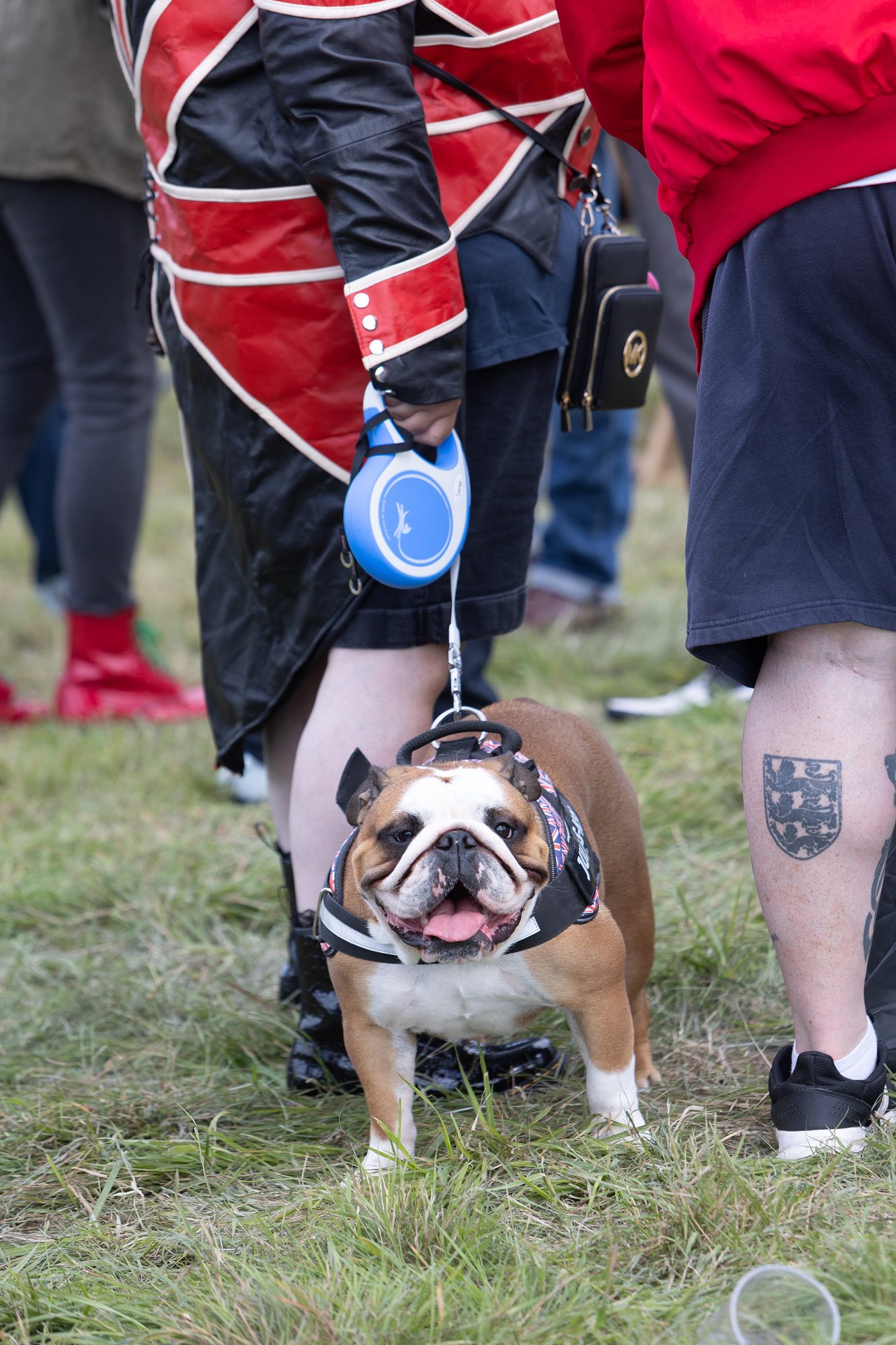 Festival Life